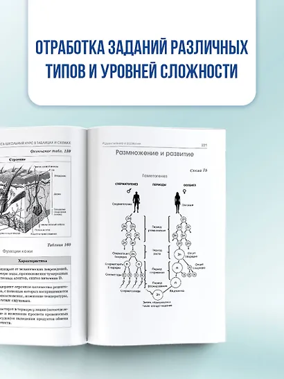 ОГЭ. Биология. Полный курс в таблицах и схемах для подготовки к ОГЭ - фото 6