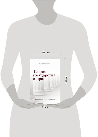Теория государства и права. Учебник для бакалавриата - фото 3