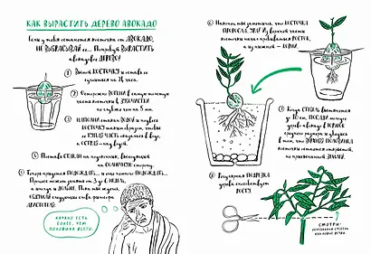 Мой удивительный мир природы. Книга для рисования, творчества и мечты - фото 5