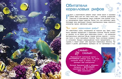 Морские животные - фото 9