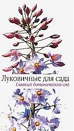 Луковичные для сада - фото 1