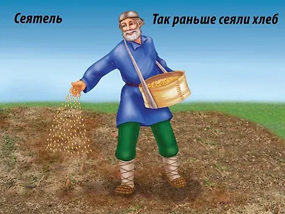 Хлеб - всему голова. 4-6 лет. Демонстрационный материал для занятий в группах детских садов и индивидуально - фото 2