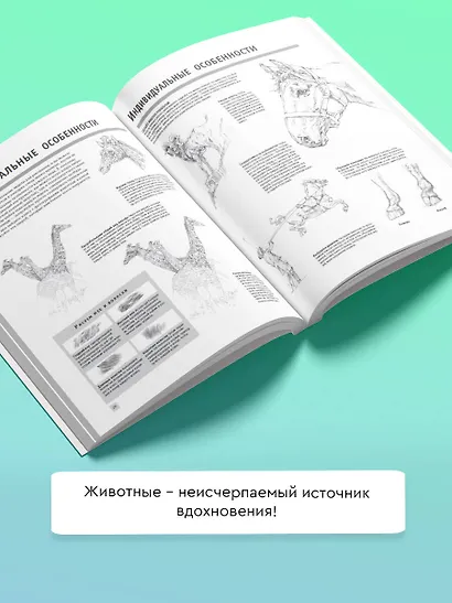 Рисуем животных - фото 4