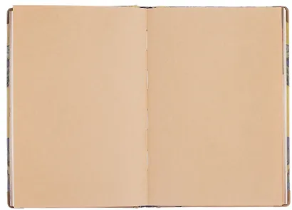 Книга для записей "Ван Гог. Ирисы" А5, твердая обложка - фото 8