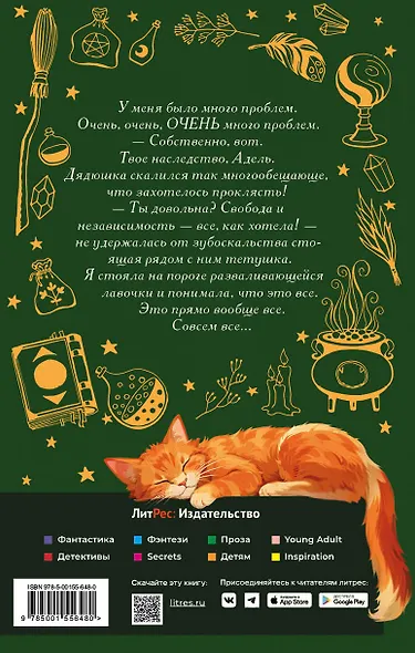 Хозяйка магической лавки. Книга 1 - фото 3