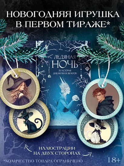 Ледяная ночь. 31 история для жутких вечеров - фото 4