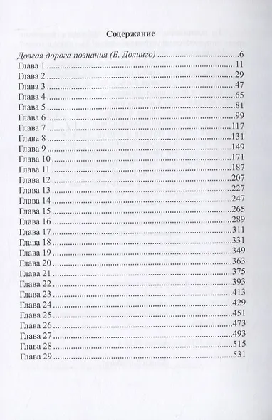 Школяр. Из цикла «Новый свет. Хроники». Кн. 2 - фото 2