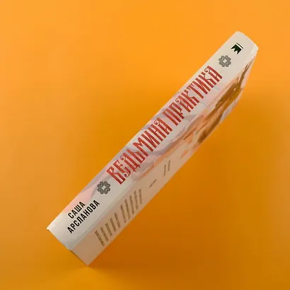 Ведьмина практика - фото 5