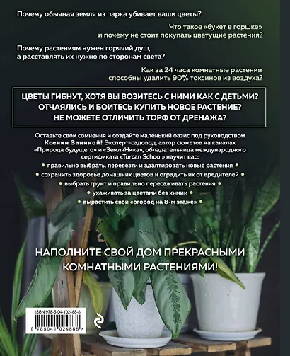 Цветок в горшке. Как посадить комнатные растения и не сесть в лужу - фото 2