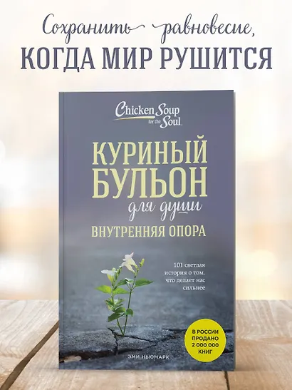Куриный бульон для души. Внутренняя опора. 101 светлая история о том, что делает нас сильнее - фото 4
