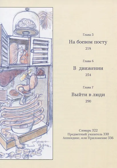 Как мы устроены - фото 4