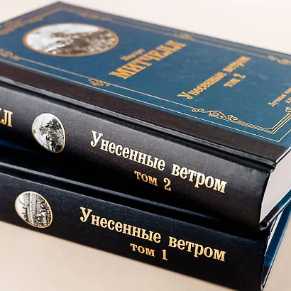 Унесенные ветром. Том 1 - фото 11