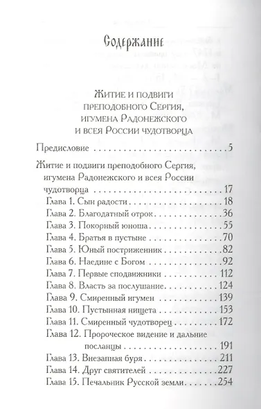 Святой Сергий - фото 2