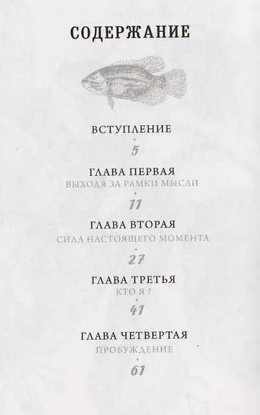 Единство со всей жизнью - фото 2