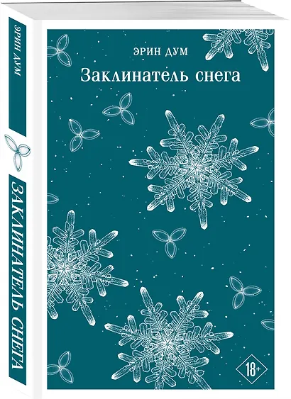 Заклинатель снега - фото 3
