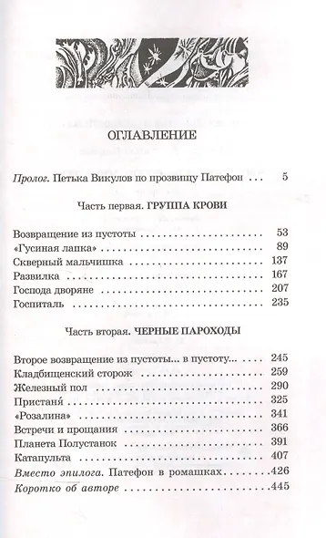 Кораблики, или "Помоги мне в пути...": роман-фантазия - фото 2