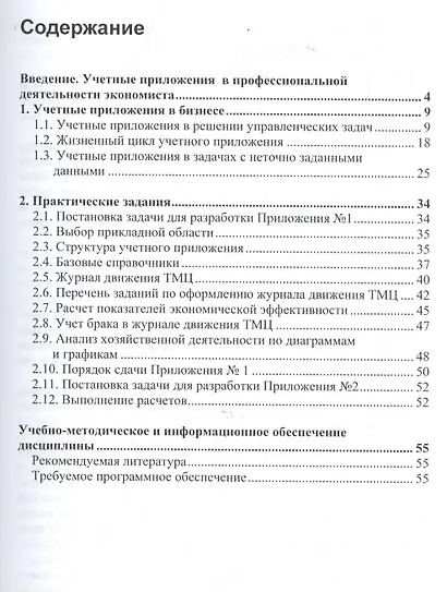 Разработка учетных приложений в MS Office Уч. пос. (м) Лукьянов (электр. прил. на сайте) - фото 2