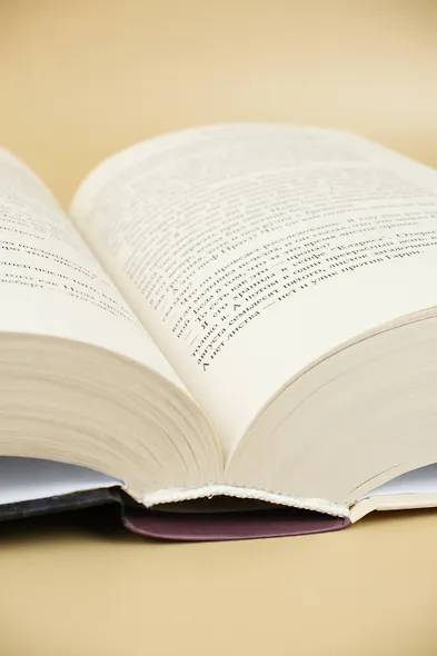 Правда о деле Гарри Квеберта : роман - фото 8