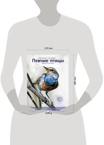 Певчие птицы: звуковая энциклопедия - фото 3