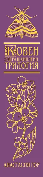 Ковен озера Шамплейн. Трилогия (Подарочное издание) - фото 12