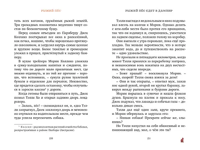 Рыжий пёс - фото 4