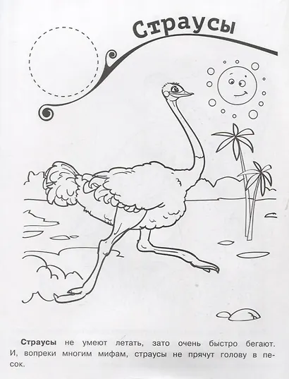 Самые известные птицы. Раскраска + большие наклейки внутри - фото 3