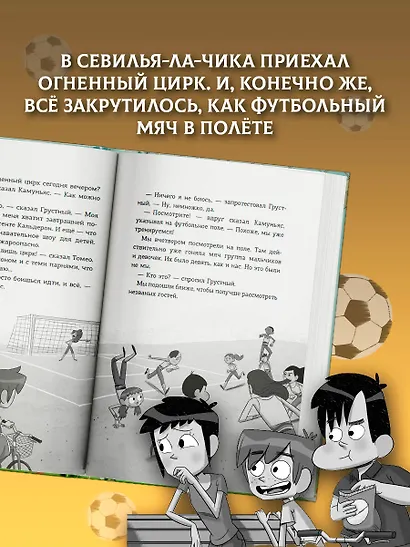 Детективы-футболисты. Тайна огненного цирка - фото 5