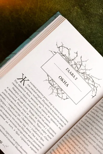 Близнецы. Том 1 - фото 10