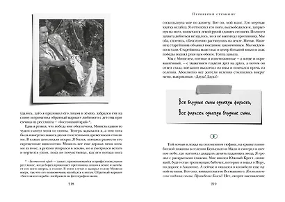 Зеленый свет - фото 14