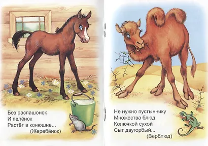 В Ледовитом океане - фото 4