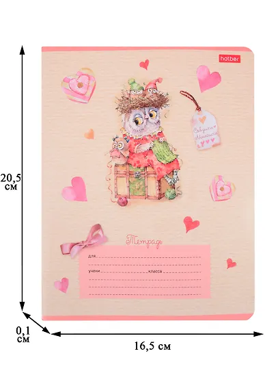 Тетрадь в линейку Hatber, "Совушки-милашки", 12 листов, в ассортименте - фото 2