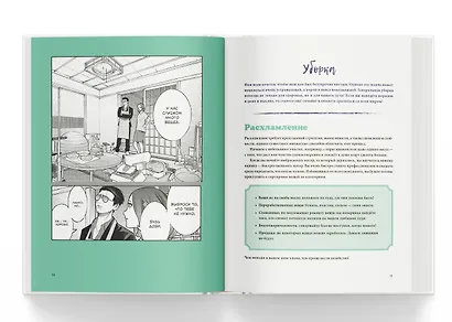 Путь домохозяина. Рецепты, уборка и другие секреты якудза. (Gokushufudou). Артбук - фото 8