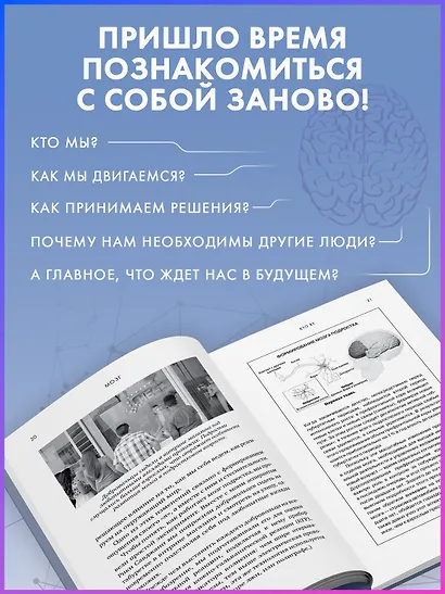 Мозг. Ваша личная история - фото 5