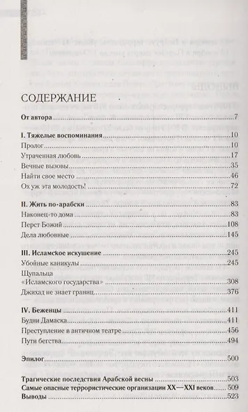 Арабская сага - фото 2