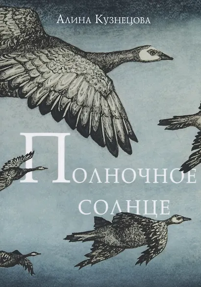 Полночное солнце - фото 1