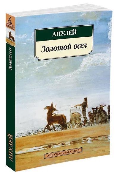 Метаморфозы, или Золотой осел - фото 3