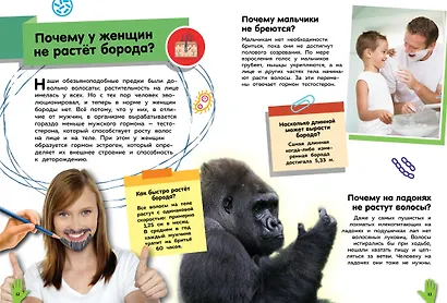 Путеводитель по телу человека. Вопросы и ответы - фото 7