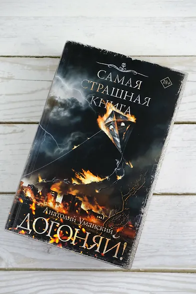 Самая страшная книга. Догоняй! - фото 5