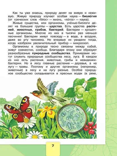 Окружающий мир. 3 класс. Учебник. В 2-х частях. Часть 1 - фото 6