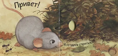 Вжух! Кто где живет? - фото 3