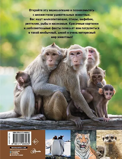 Мир животных - фото 2