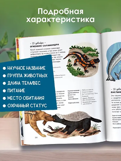 Животные каждый день. Большая энциклопедия - фото 7