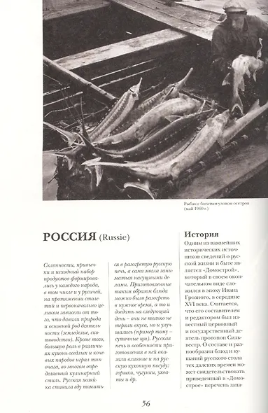 Ларусс.т.11.Гастрономическая энциклопедия - фото 4