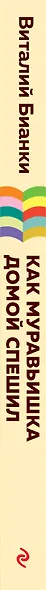 Как Муравьишка домой спешил - фото 7