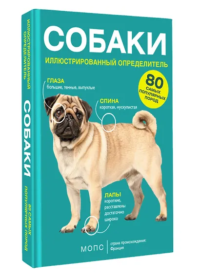 Собаки. 80 самых популярных пород. Иллюстрированный определитель - фото 3
