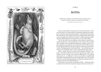 ЕВА. История эволюции женского тела. История человечества - фото 12