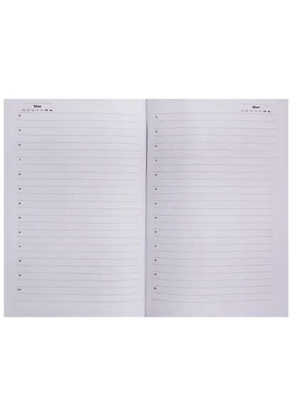 Ен5_7БцИ320_лам_вл 4026 Ежедневник BG "Лайт" 320 стр.А5 "Spring melody", интегр. переплет, мат. ламинация, выб. лак - фото 2