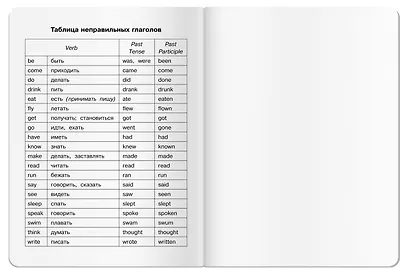 Тетрадь для записи английских слов Айрис, "Капибары на самокате", А5, 24 листа - фото 7