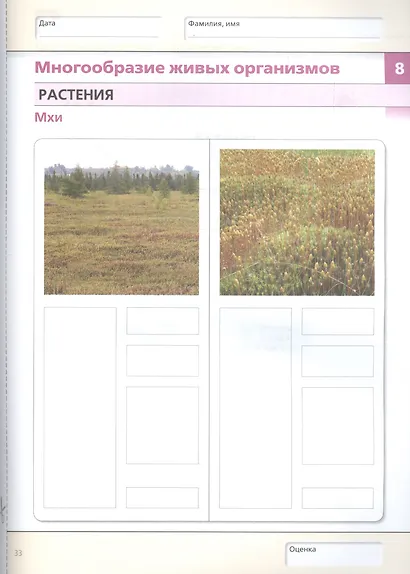 Биология. Введение в биологию. 5 класс. Альбом проектов - фото 5
