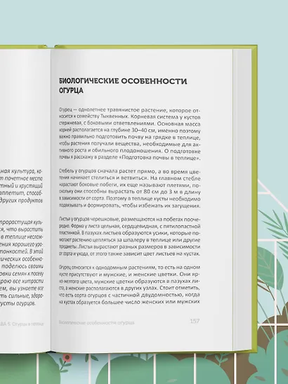 Теплица без ошибок. Все, что нужно знать, чтобы получить ранний и богатый урожай - фото 12